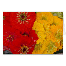 Zinnias rojos y amarillos tarjeton