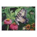 Zinnias y mariposa tarjeton