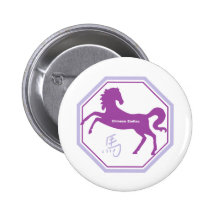 zodiaco del chino del caballo pins