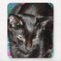 Zoey Tapetes De Raton