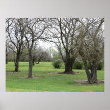 Zona de descanso de Kansas Poster