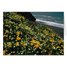 Zona de recreo nacional del Golden Gate - flores s Tarjeta