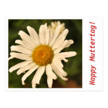 Zum Muttertag Tarjetas Postales