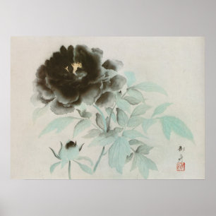 牡 丹, 速 水 舟 Peony, Gyoshū, arte jpanés