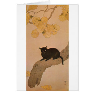 猫 黒, 春 草 gato negro, Shunsō
