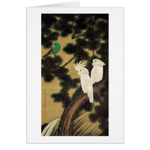 老 松 鸚 鵡 図, 若 Pine-tree & Parrot, Jakuchū