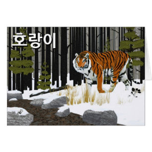호 랑 이 (tigre siberiano)