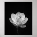 Buscar loto arte Flor