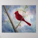 Buscar cardinal posters Wildlife