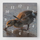 Buscar bebé relojes de pared Animal