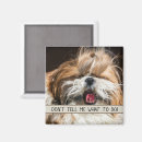 Buscar tzu imanes Animales