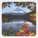 Buscar recreativo pegatinas Lago