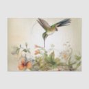 Buscar colibri papel de seda Para todos
