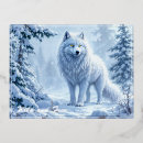 Buscar lobo blanco Para todos