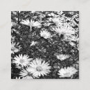 Buscar pixel tarjetas de visita Píxeles