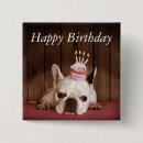 Buscar bulldog francés chapas Animales