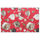 Buscar gato divertido telas Gatito