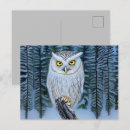 Buscar vida nocturna postales General y unisex