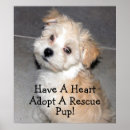 Buscar adopte posters Rescate