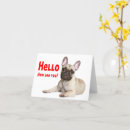 Buscar amor del perro tarjetas Para todos