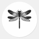 Buscar metamorfosis Blanco y negro