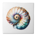 Buscar nautilus azulejos Caparazón de nautilus