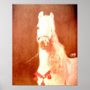 Buscar gitano posters Bohemio