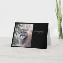 Buscar puma tarjetas Gato