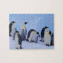 Buscar pingüinos puzzles Nieve