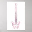 Buscar biología humana posters Detalle