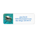 Buscar animal sonriente postales Océano