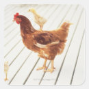 Buscar chicha pegatinas 7 º morada