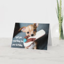 Buscar perro chihuahua tarjetas Cachorro