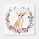 Buscar chihuahua imanes Corona
