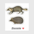 Buscar erizo pegatinas parachoque Hedgehog