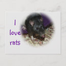 Buscar rata linda postales Amor