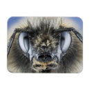 Buscar antena imanes Animal