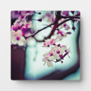 Buscar japón placas fotograbadas Sakura