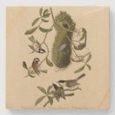 Buscar garbanzo posavasos Ave