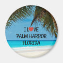 Buscar sol de la florida imanes Palmeras