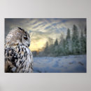 Buscar feather arte Beak
