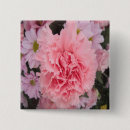 Buscar margarita rosada pins Flores
