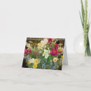 Buscar florecimiento tarjetas Azul