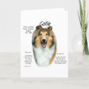 Buscar sable tarjetas Collie