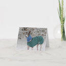 Buscar greyhound tarjetas Animales