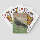 Buscar rapaz barajas de cartas Para todos