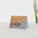 Buscar anadones tarjetas Lindo