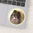 Buscar perro de pomerania pegatinas Palma