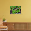 Buscar enanos posters Naturaleza