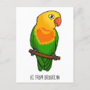 Buscar amazona postales Loro